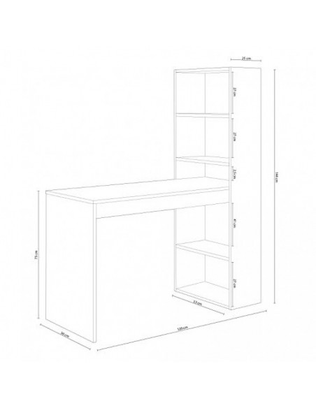 Escritorio + Estantería Reversible Blanco y Cambrian