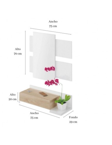 Recibidor con 1 Cajón + Espejo