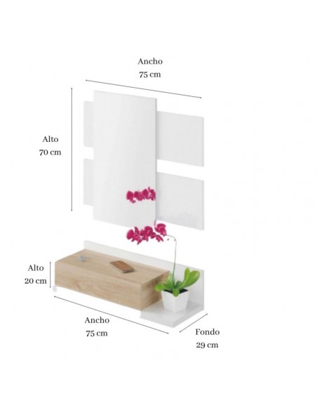 Recibidor con 1 Cajón + Espejo