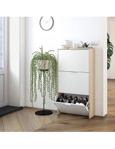 Zapatero 3 Puertas Abatibles