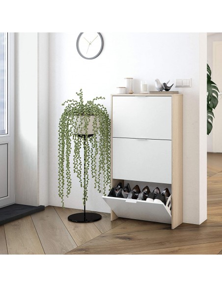 Zapatero 3 Puertas Abatibles