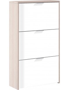 Zapatero 3 Puertas Abatibles 2