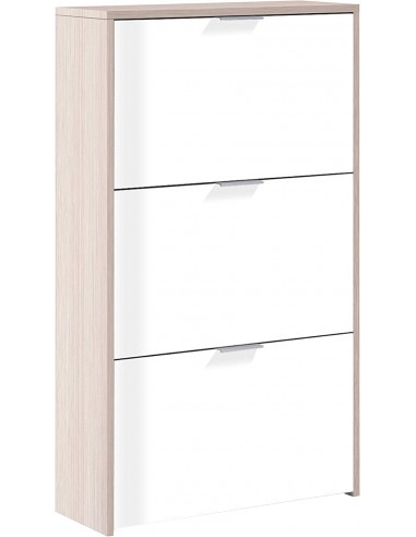 Zapatero 3 Puertas Abatibles