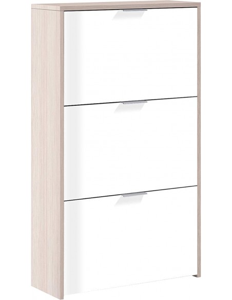 Zapatero 3 Puertas Abatibles