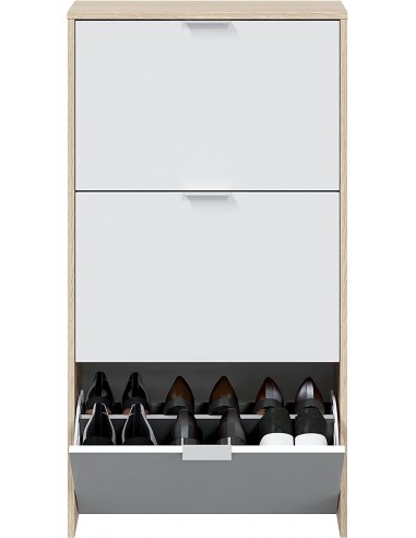 Zapatero 3 Puertas Abatibles