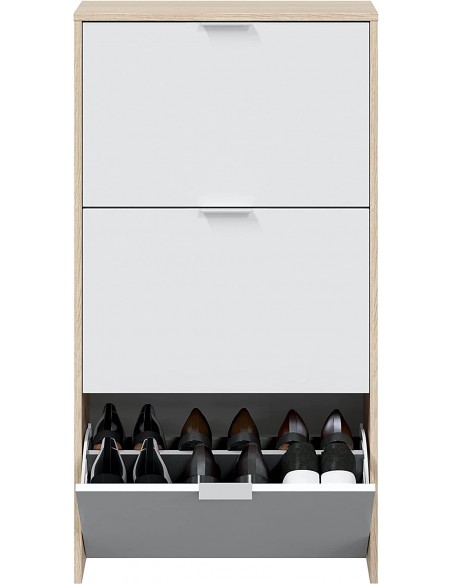 Zapatero 3 Puertas Abatibles