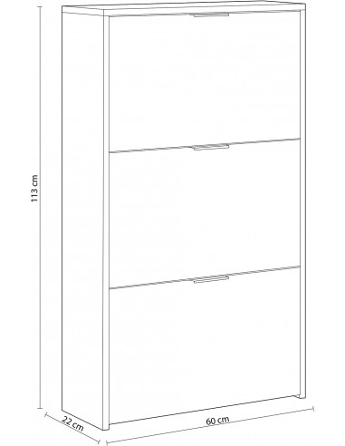 Zapatero 3 Puertas Abatibles