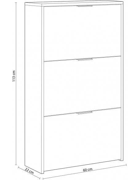 Zapatero 3 Puertas Abatibles