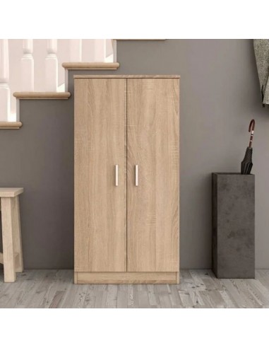Zapatero Armario de 2 Puertas Cambrian