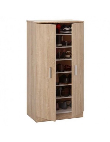 Zapatero Armario de 2 Puertas Cambrian