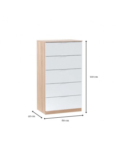 Sinfonier 5 Cajones Color Roble y Blanco