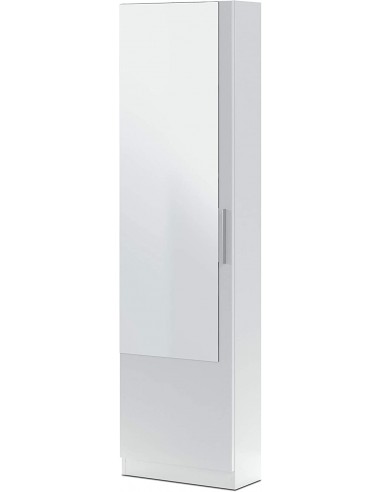 Zapatero 1 Puerta + Espejo + Varillas...