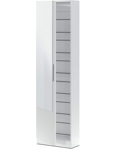 Zapatero 1 Puerta + Espejo + Varillas...