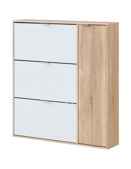 Zapatero 3 Puertas + Puerta Vertical Cambrian y Blanco