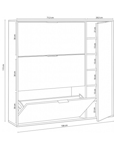 Zapatero 3 Puertas + Puerta Vertical...