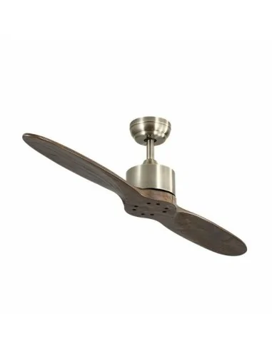 Ventilador 2 aspas de techo