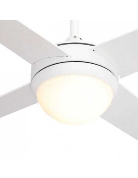 Tulipa del ventilador blanco eolo