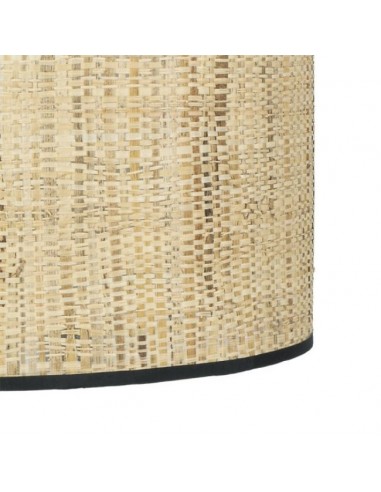 foto del plafon del ventilador natasha