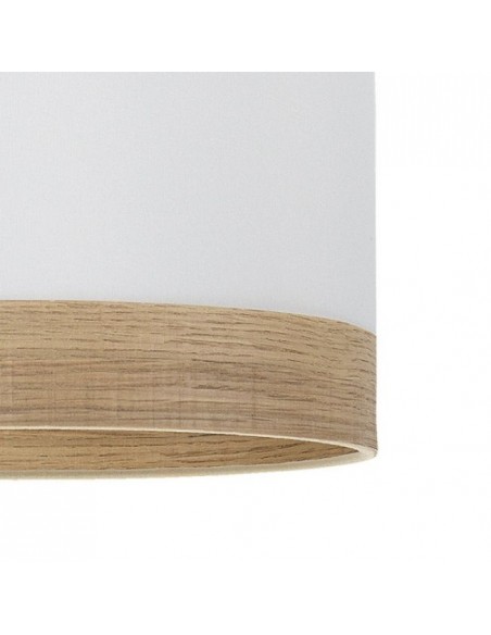 acabado del plafon Olga