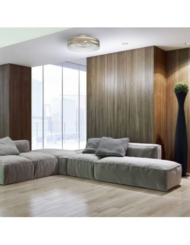 foto ventilador plafon Odra