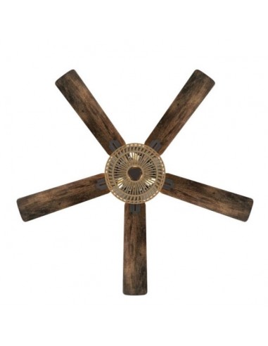 aspas en roble - Cesta