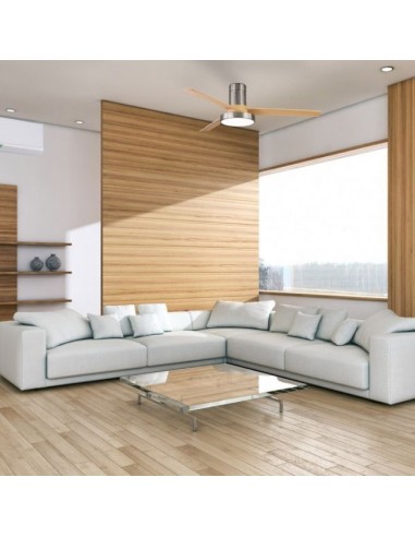 foto del ventilador de techo pax