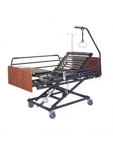 cama geriatrica con carro elevador