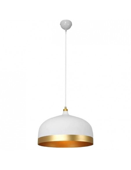 Nordica blanca Nordica blanca