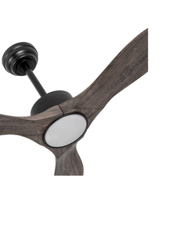 Ventilador de Techo DC Negro Roble - Segre