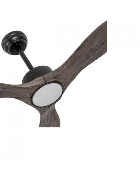 Ventilador de Techo DC Negro Roble - Segre