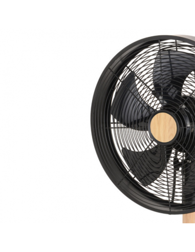 Ventilador de Sobremesa Negro Haya - Falcon