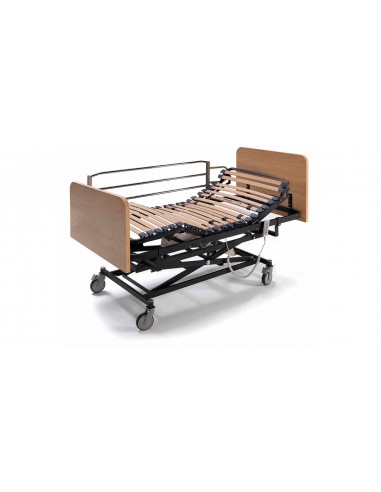Cama Articulada Geriátrica con Carro...