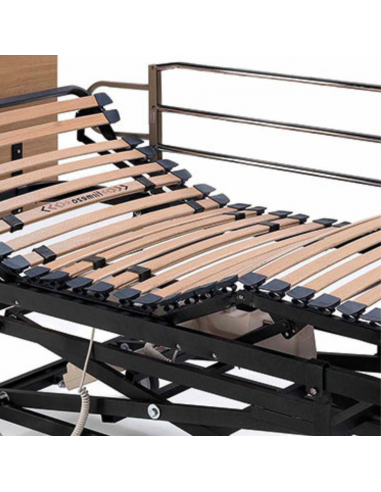 Cama Articulada Geriátrica con Carro...