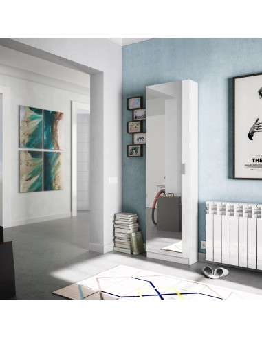 Zapatero 1 Puerta con Espejo (6...