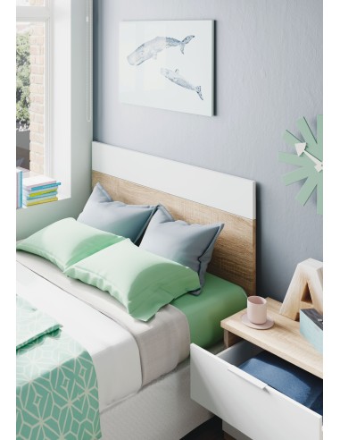 Cabezal LUCA 100 + Mesita con 2...