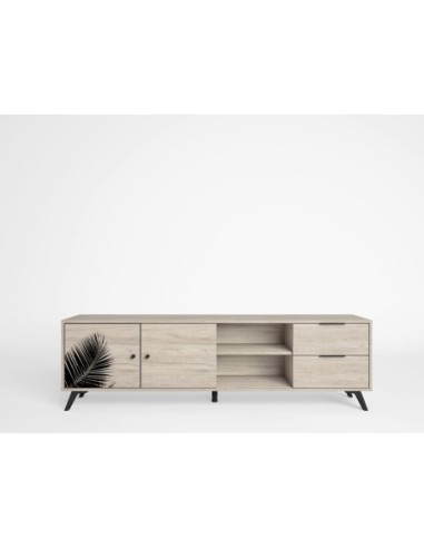 Mueble Tv Palmero (2 puertas 2...