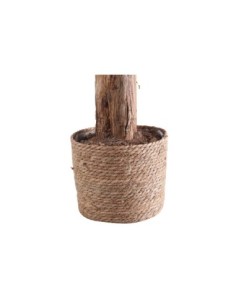 Cesto Esparto Para Planta... 2