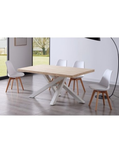 Mesa Comedor Fija Xena 160 X 100 Cm...