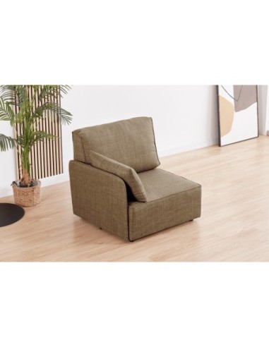 Modulo Con Respaldo Y Brazo Lateral...