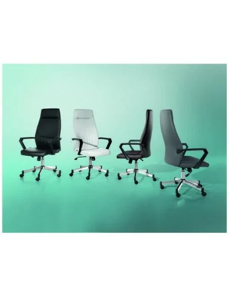 Sillón de Oficina Terra Sillón de Oficina Terra