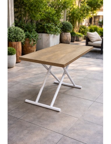 Mesa Elevable Extraíble Expo