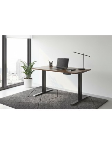 MESA ESTUDIO MOTORIZADA 120 x 60 CM...