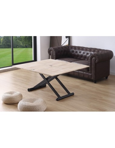 MESA CENTRO ELEVABLE Y EXTENSIBLE...