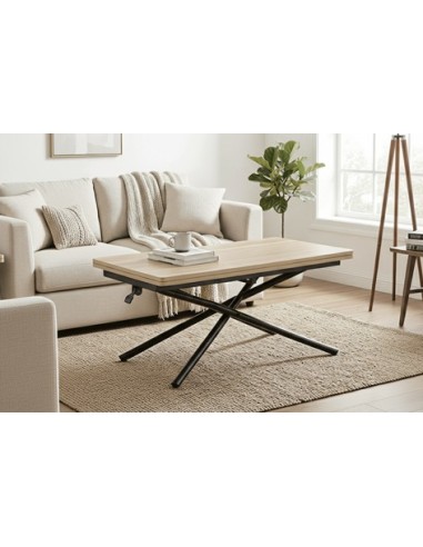 MESA CENTRO ELEVABLE Y EXTENSIBLE...