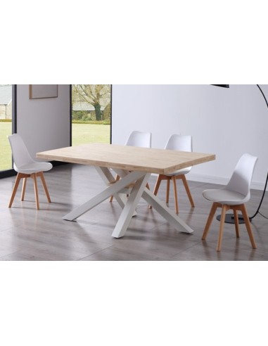 MESA COMEDOR FIJA XENA 160 x 100 CM...