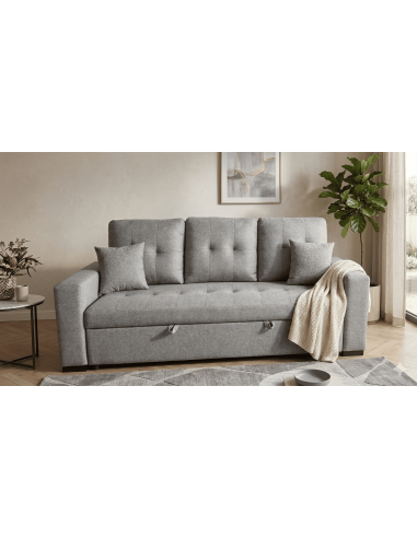 Sofá Cama Modelo SENRA