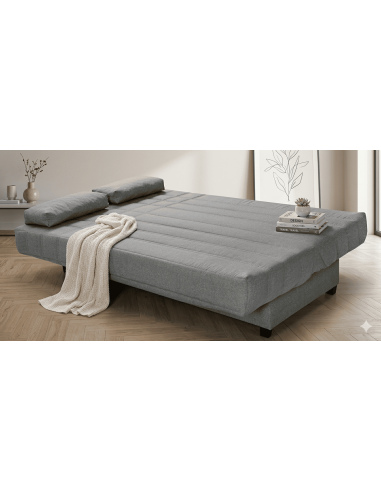 Sofá Cama Modelo TERRA con Arcón