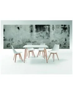 Mesa de Comedor Evolution 2