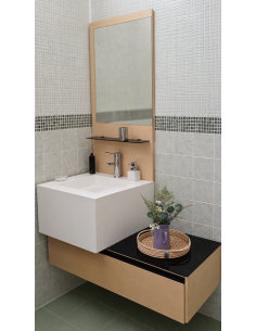 Conjunto de baño suspendido...