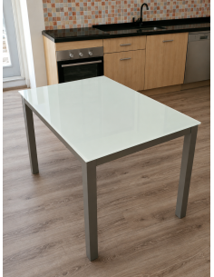 Mesa rectangular de cristal...
